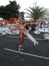 Carneval of Santa Cruz (Tenerife)