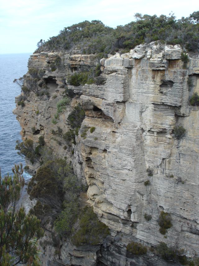 Tasmania