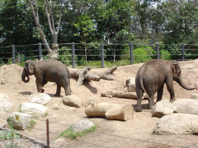 Melbourne,zoo