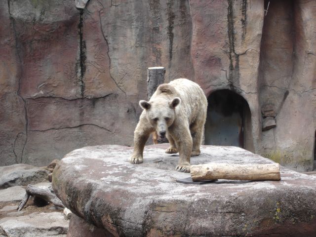 Melbourne,zoo