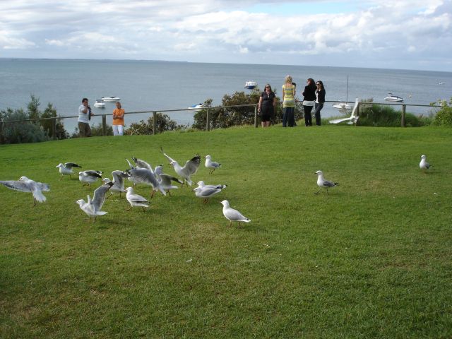 Portsea