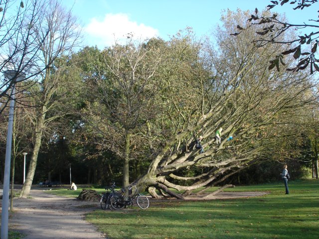 Vondelpark