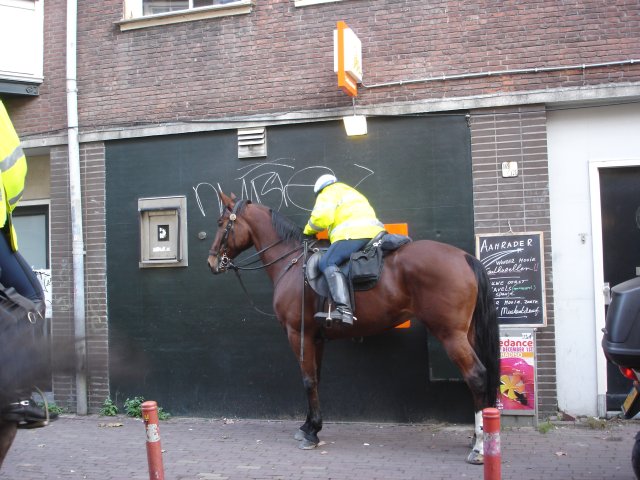 174.jpg