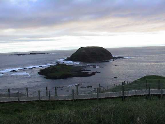 Phillip Island