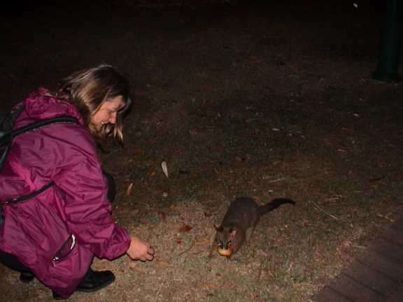 Marisa e opossum