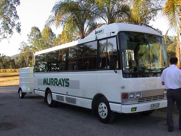 Bus