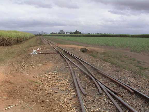 Ferrovia per trasporto canne