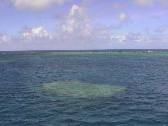 Barriera corallina