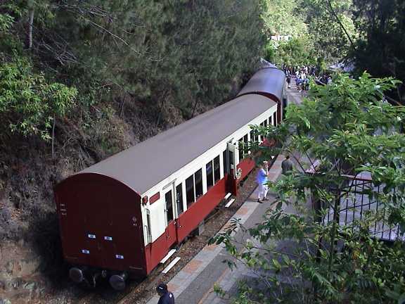 Trenino