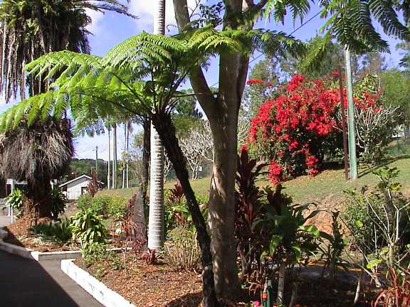 Kuranda