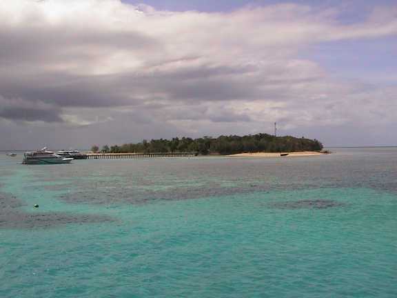 Green island