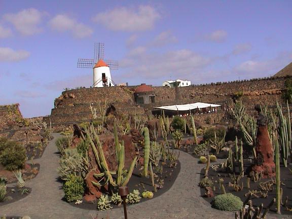 Jardin de Cactus