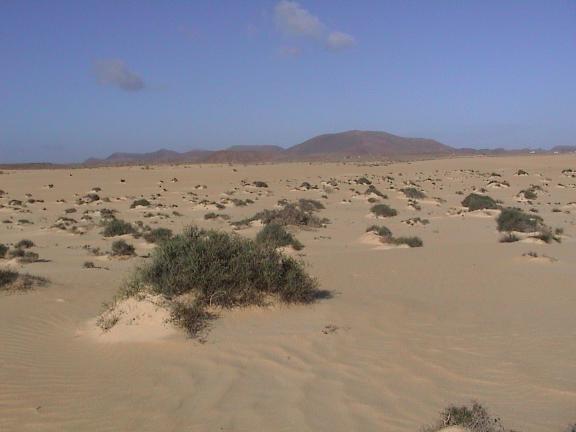 Parque natural de Corralejo