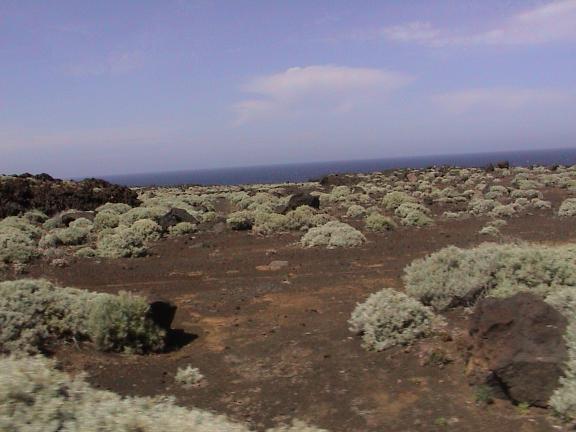 Paesaggio vulcanico de El Hierro
